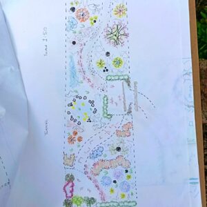 PolliPatch5